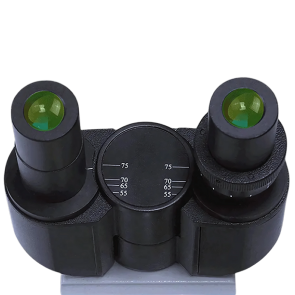 Biological Microscope FM-BM-C105 - Image 6
