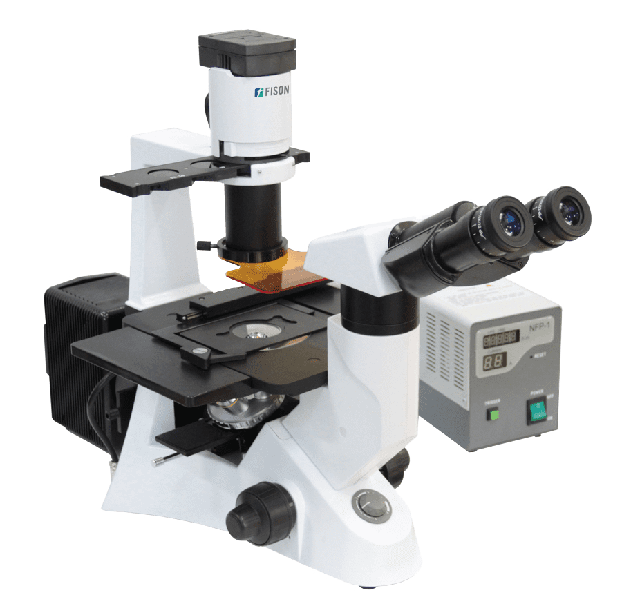 Fluorescence Microscopes FM-FM-A100