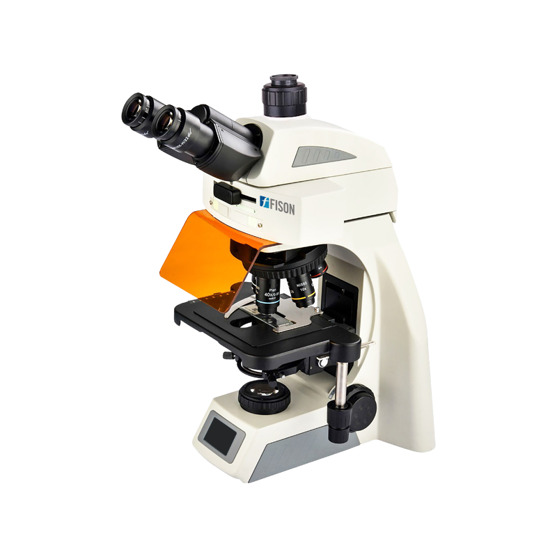Fluorescence Microscope FM-FM-A204