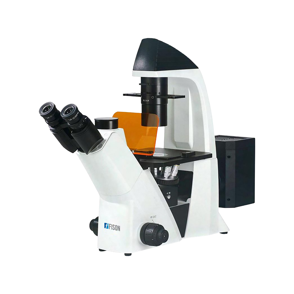 Inverted Fluorescence Microscope FM-FM-B100