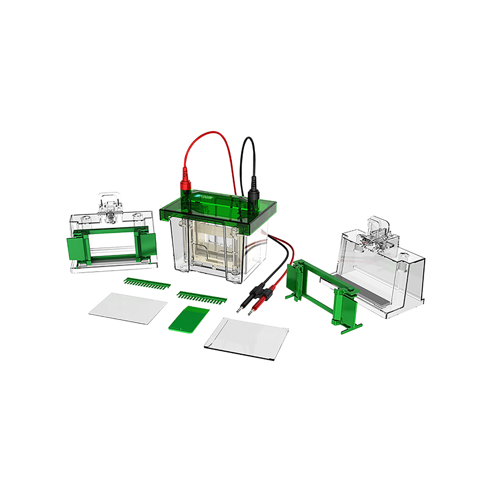 Vertical Electrophoresis System FM-VES-A100