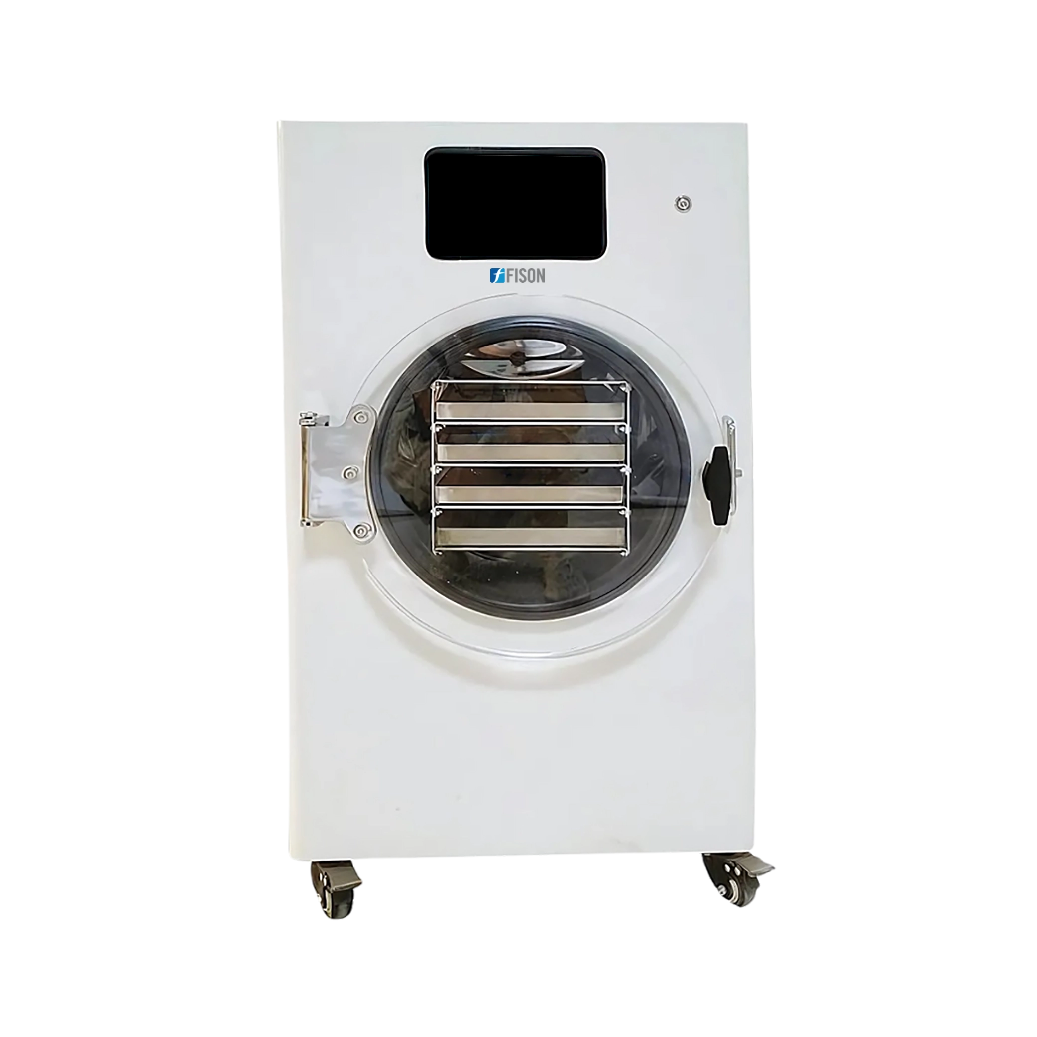 Vacuum Freeze Dryer FM-VFD-A101